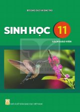 Sách giáo viên Sinh học 11 - Kết nối tri thức 2026-2027